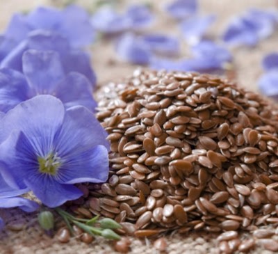 Flax Flowering Sky Blue 